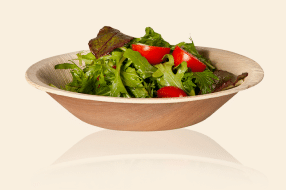 Areca leaf compostable plates