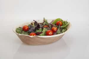 Areca leaf plates