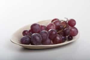 Eco-friendly plates and your food on them