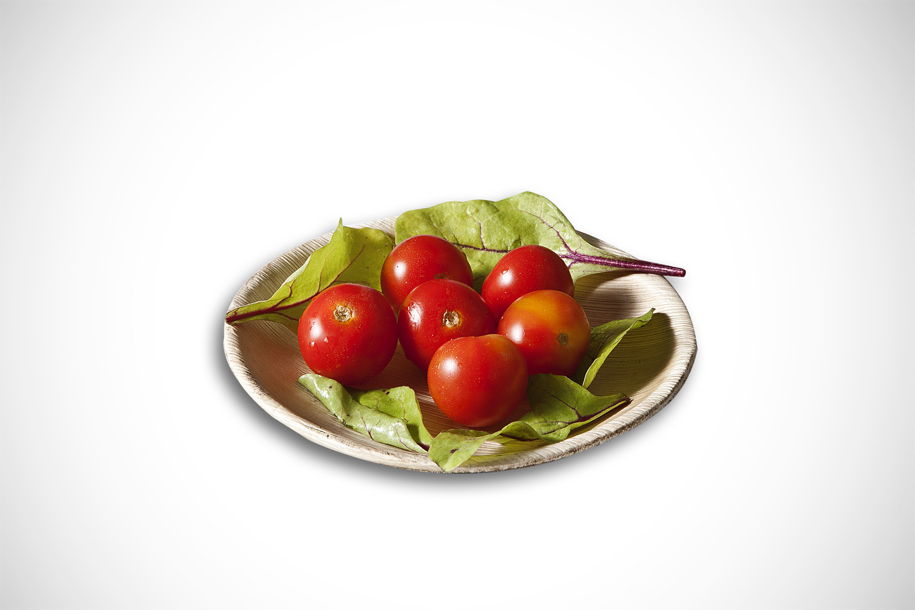 areca leaf eco-friendly plate